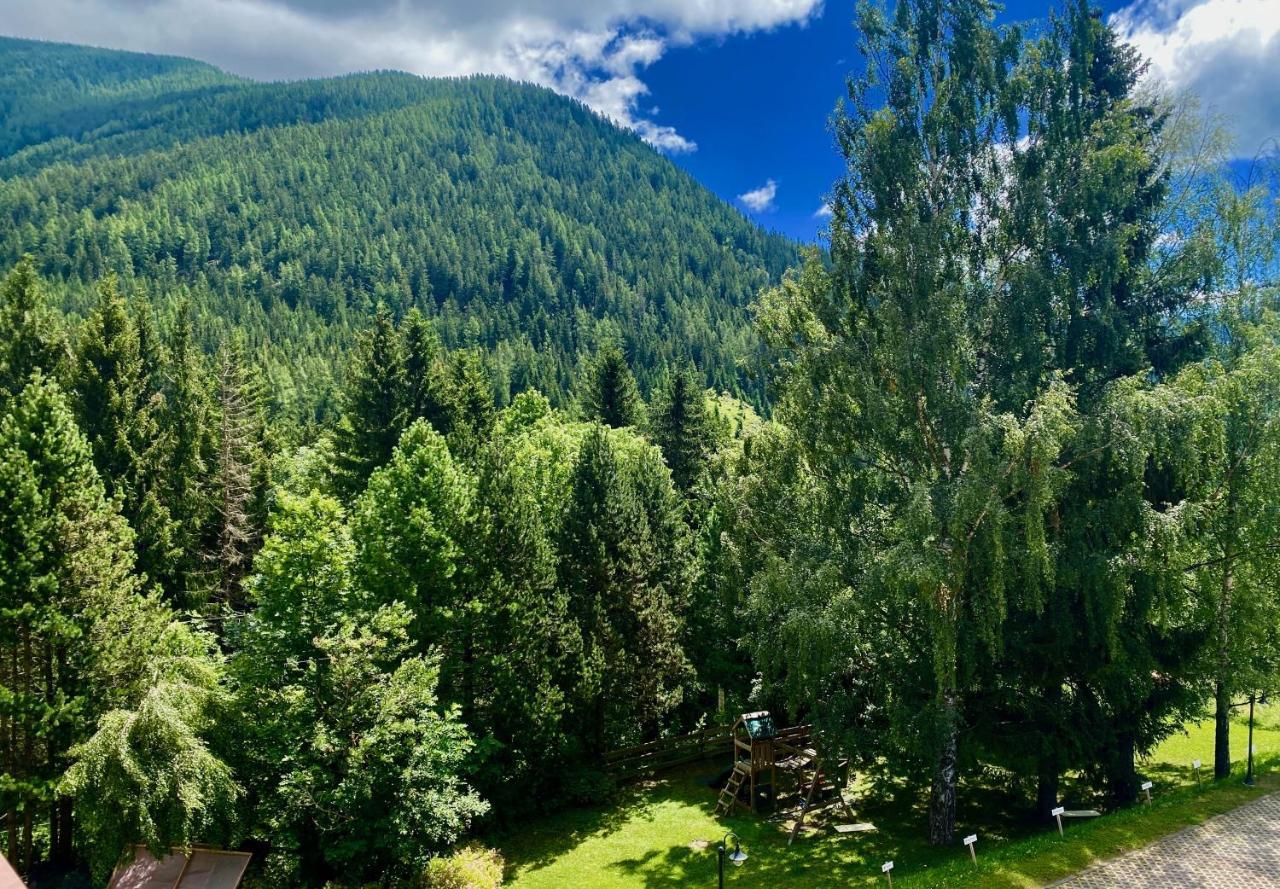 Panorama Rosie Design Chalet Bad Kleinkirchheim Buitenkant foto